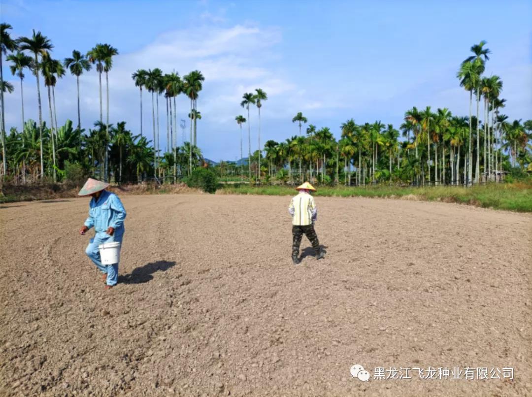 1640653667139414.jpg 3.jpg