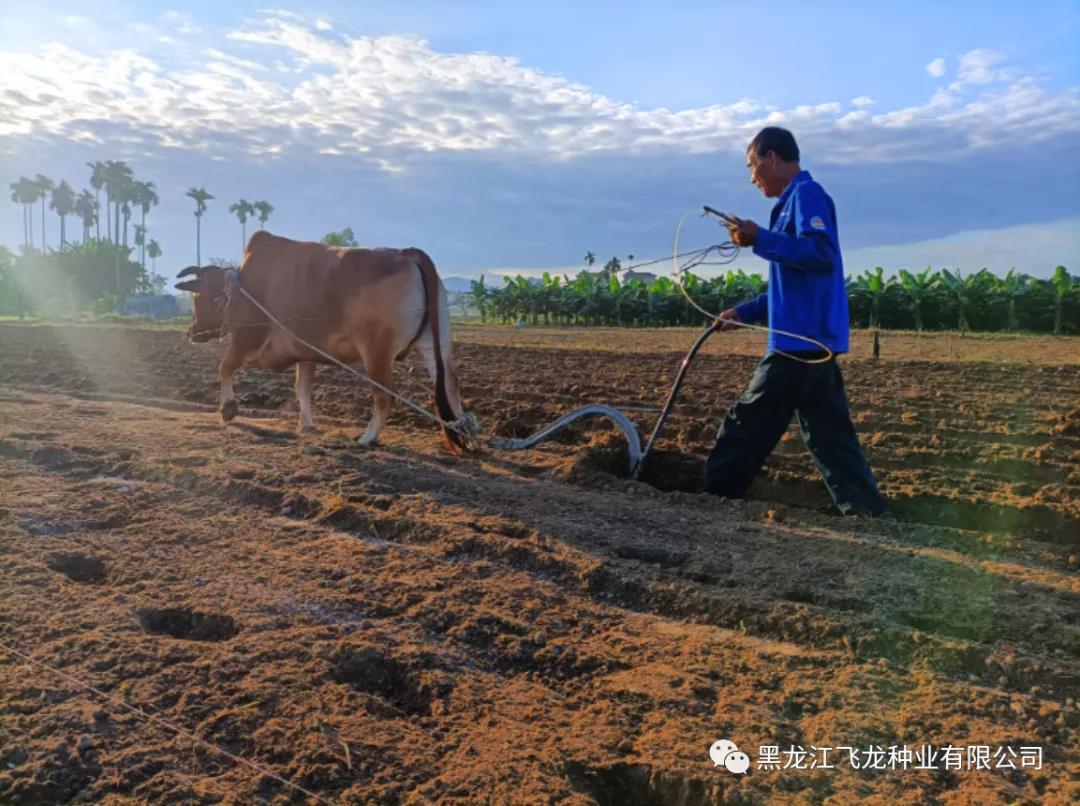 1640653698764158.jpg 5.jpg