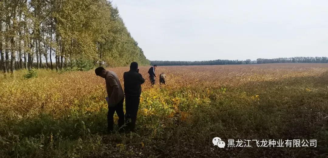 1640658619496543.jpg 4.jpg