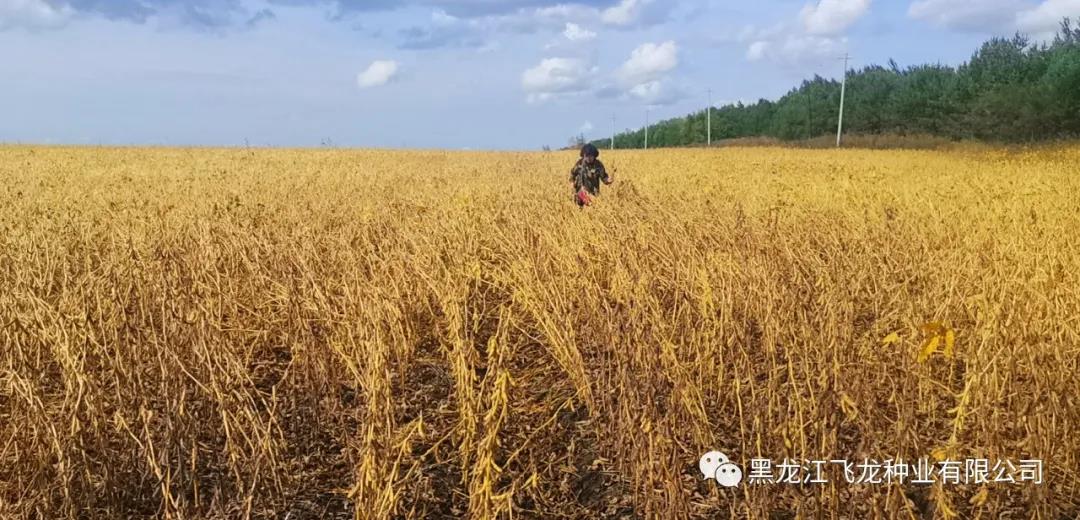 1640658644457901.jpg 6.jpg