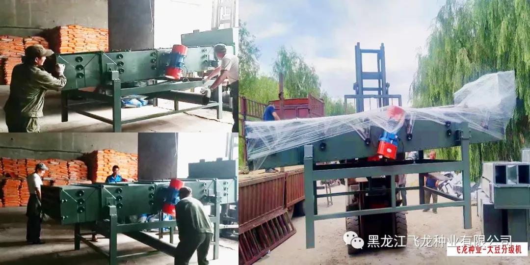 1640658978134198.jpg 14.jpg