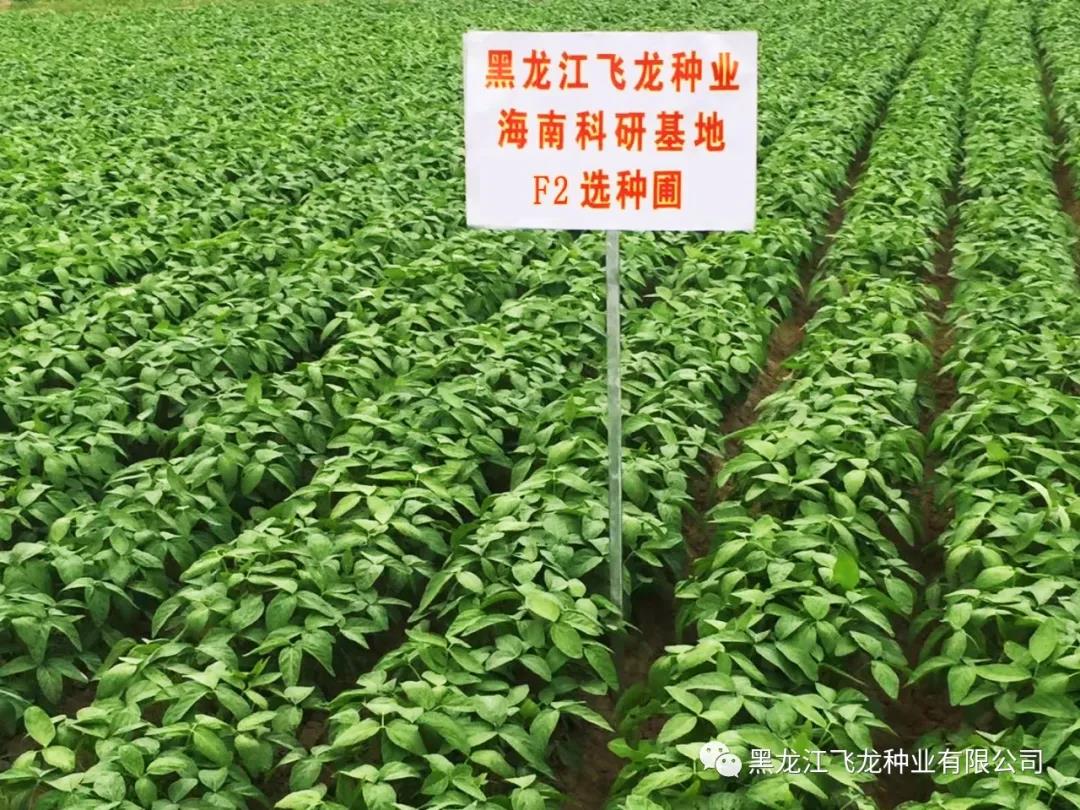 1640669570325062.jpg 8.jpg