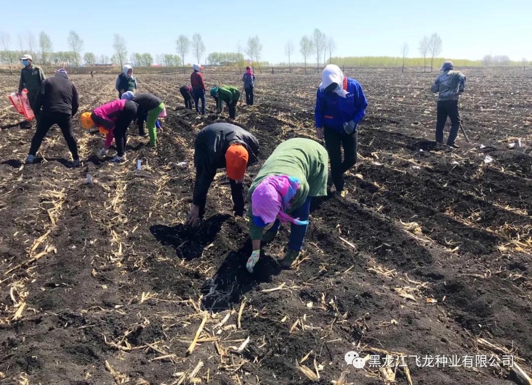 1640673456481138.jpg 5.jpg