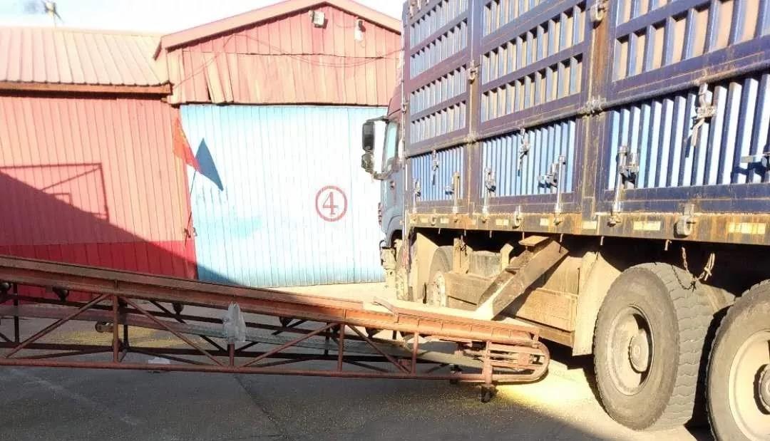 1640677127487980.jpg 5.jpg