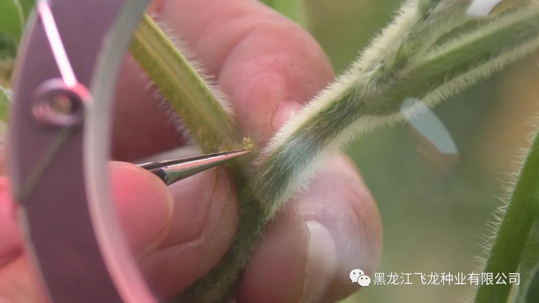 1658970510559154.jpg 4.jpg