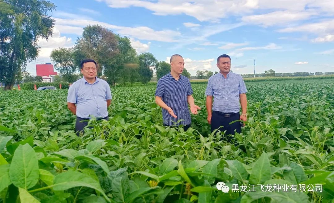 1660696686708475.jpg 11.jpg