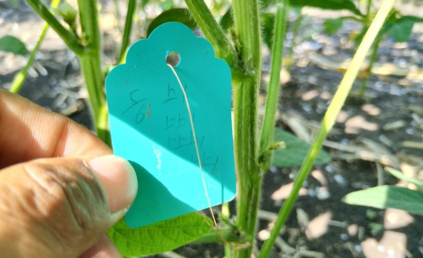 1689726543661957.jpg 5.jpg