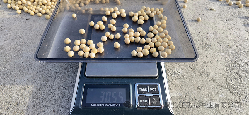 1714372878104722.jpg 5.jpg